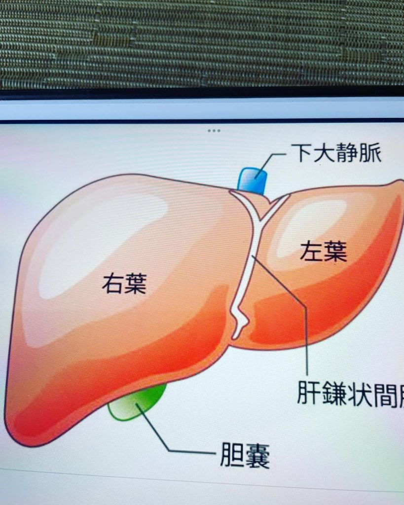 #肝臓の解毒力アブラナ科のカリフラワー、ブロッコリーに解毒力のあるスルフォラファンが含まれています。