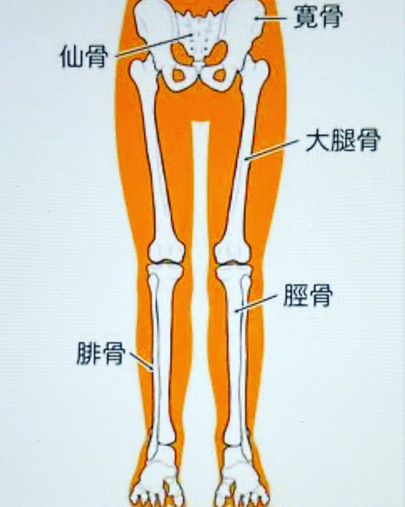 #高齢者の歩行困難予防について！知らずに続けると老後歩けなくなる下半身の関節をしっかり曲げきる股関節、膝、足首仰向けに寝ながら、10秒間足首、膝、股関節をそれぞれできるだけ早く曲げられるところまで動かす。