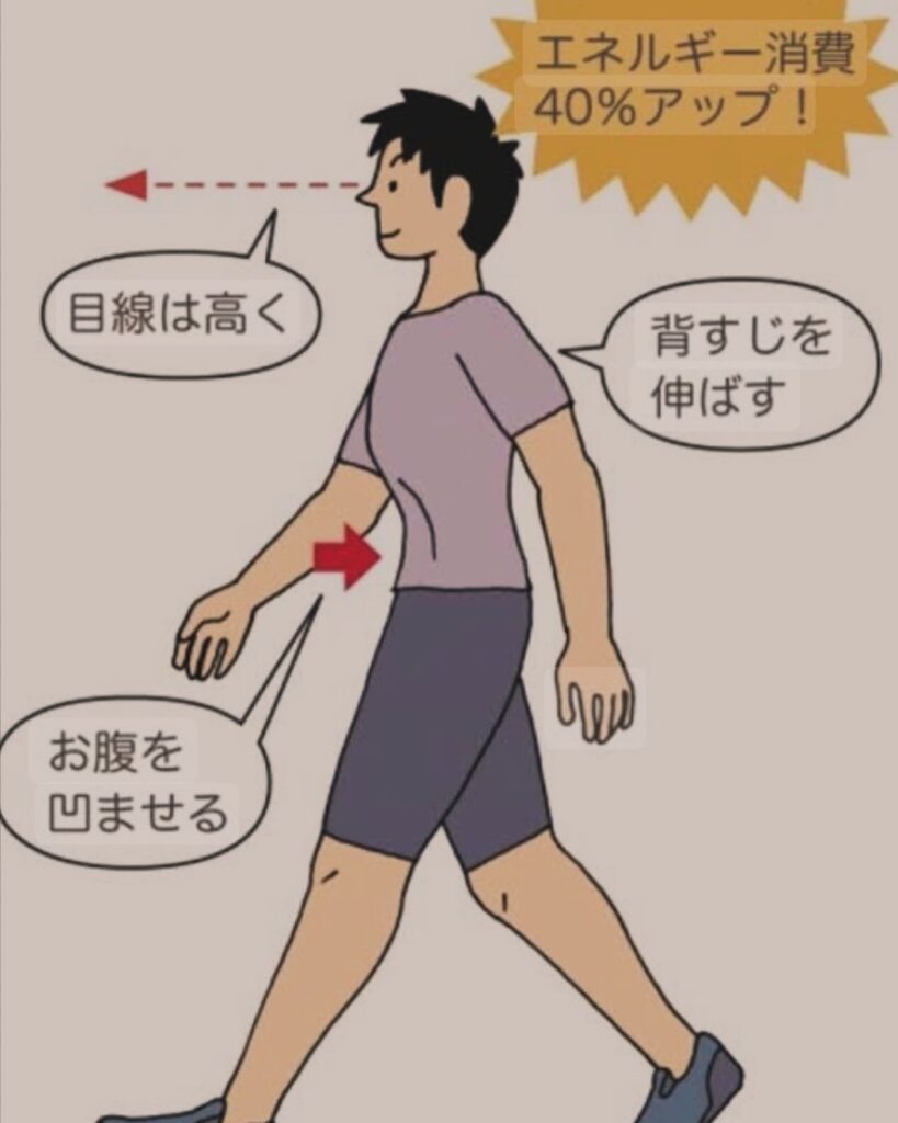 #雑学！下腹をへこませるだけで、引き締まる。